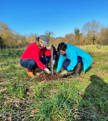 Volunteers Anita Corbin and Suzie Griffiths plant a tree in an area of the Green Corridor close to Rockwell Green. 